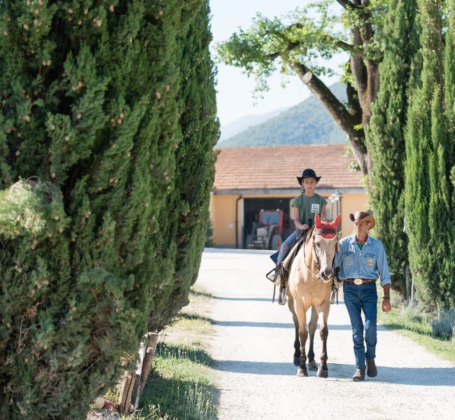 Maneggio alla Fattoria Didattica Collina Incantata