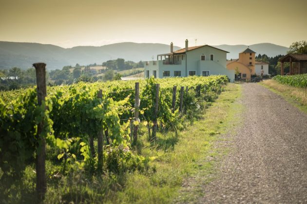 Fattoria Didattica Collina Incantata