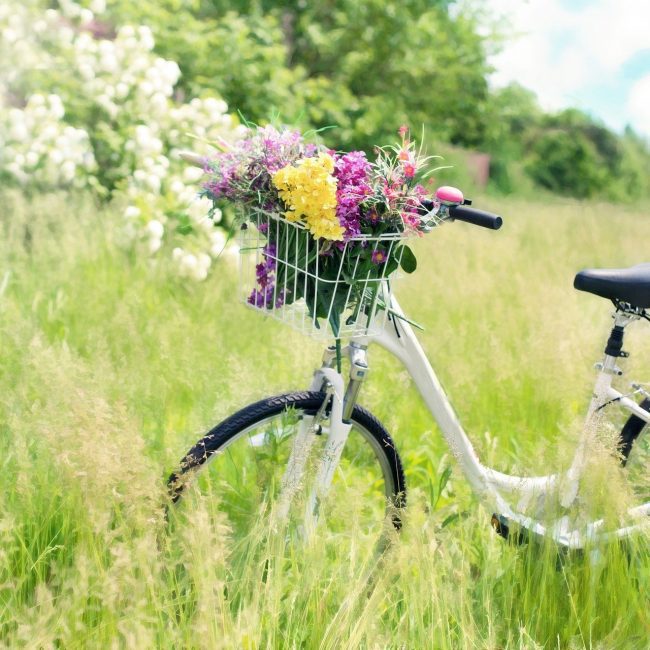 noleggio bici alla Fattoria Didattica Collina Incantata