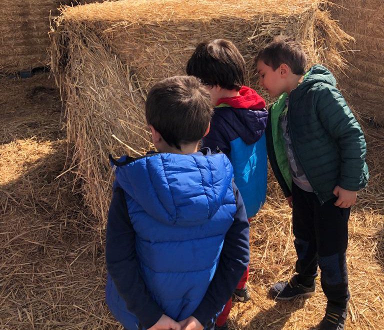 Bambini Fattoria Didattica Collina Incantata